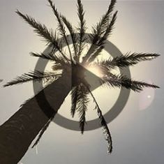 Fit auf Reisen - Thromboseprophylaxe